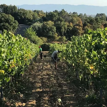 Scalone * Rapolano Terme